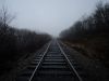 Mountain Tracks