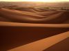 Hurdles in Desert