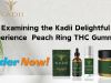 Examining the Kadii Delightful Experience  Peach Ring THC Gummies