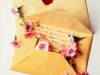 The First Love Letter
