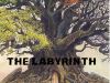 The Labyrinth