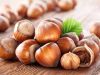 Hazelnuts