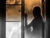 THE VISITOR