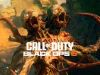 Black Ops 6 & Warzone: How to Dominate with the PPSH-41 - Alleviate All Camos & Accessories with COD