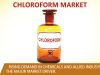 Chloroform Market - Industry Insights, Trends, and Forecast 2017-2025