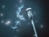 Dandelion Wisp