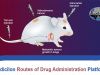 Routes of Drug Administration Platform