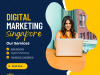 Why Your Business Needs a Digital Marketing Strategy in Singapore