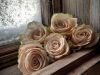Blanched Roses