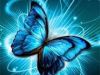Blue Butterfly Time
