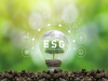 Tips and Tricks for Preparing for ESG Assurance Audits