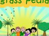 Sawgrass Pediatrics: Pediatricians Serving in Coconut Creek