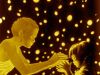 Fireflies ~ Painted Splendor