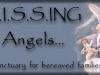 Missing Angels 