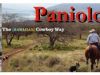 Hawaiian "Paniolo" Cowboy's