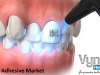 Global Dental Adhesive Market &ndash; Analysis and Forecast to 2024 | VynZ Research