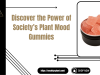  Shop the best Plant Mood Gummy At Society's Plant
