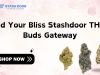 Find Your Bliss Stashdoor THCA Buds Gateway