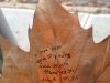 Love Notes on Leaves