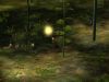 The Spirit of The Moonlight Forest