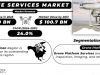 Drone Services Market Segmental Trends Over 2024-2031