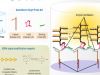 Application and Case Studies Sharing of bDNA Technology for Oligonucleotide and mRNA Drug Bioanalysi