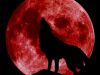 A Blood Moon Night