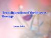 Transfiguration of the literary Message 
