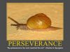 Perseverance 
