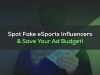 How to Detect Fake eSports Influencers and Protect Your Ad Budget with Entyx