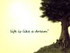 Life Is Like A Dream...