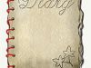 dear dumb diary
