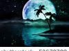 Under Twilight Sky's And Moonbeams