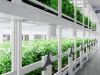 Creating the Ideal Environment: Tips for Cannabis Grow System Setup