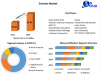 Solvents Market Global Production, Growth, Share, Demand and Applications Forecast to 2029