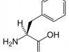 domino jackets, amino acids