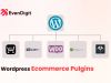 Essential Ecommerce Plugins for WordPress to Maximize Store Efficiency