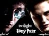 Twilight, Harry Potter!