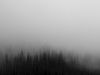 Fog