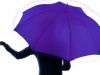 The Purple Umbrella