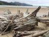 Driftwood