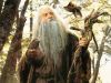 Radagast The Brown