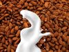 Almond Milk Price, Benefit for Manufacturers in the Market | A Cholesterol and Lactose Free Nutritio