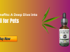 The Benefits: A Comprehensive Guide to CBD Oil for Pets