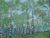 The Dance of the Birch Trees: Satis Shroff