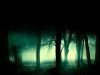 Dark Forests