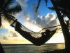 View from a Hammock