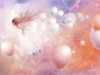 A Touch of Their Feathers