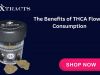 The Benefits of THCA Flower Consumption