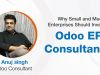 Why Small and Medium Enterprises Should Invest in Odoo ERP Consultants